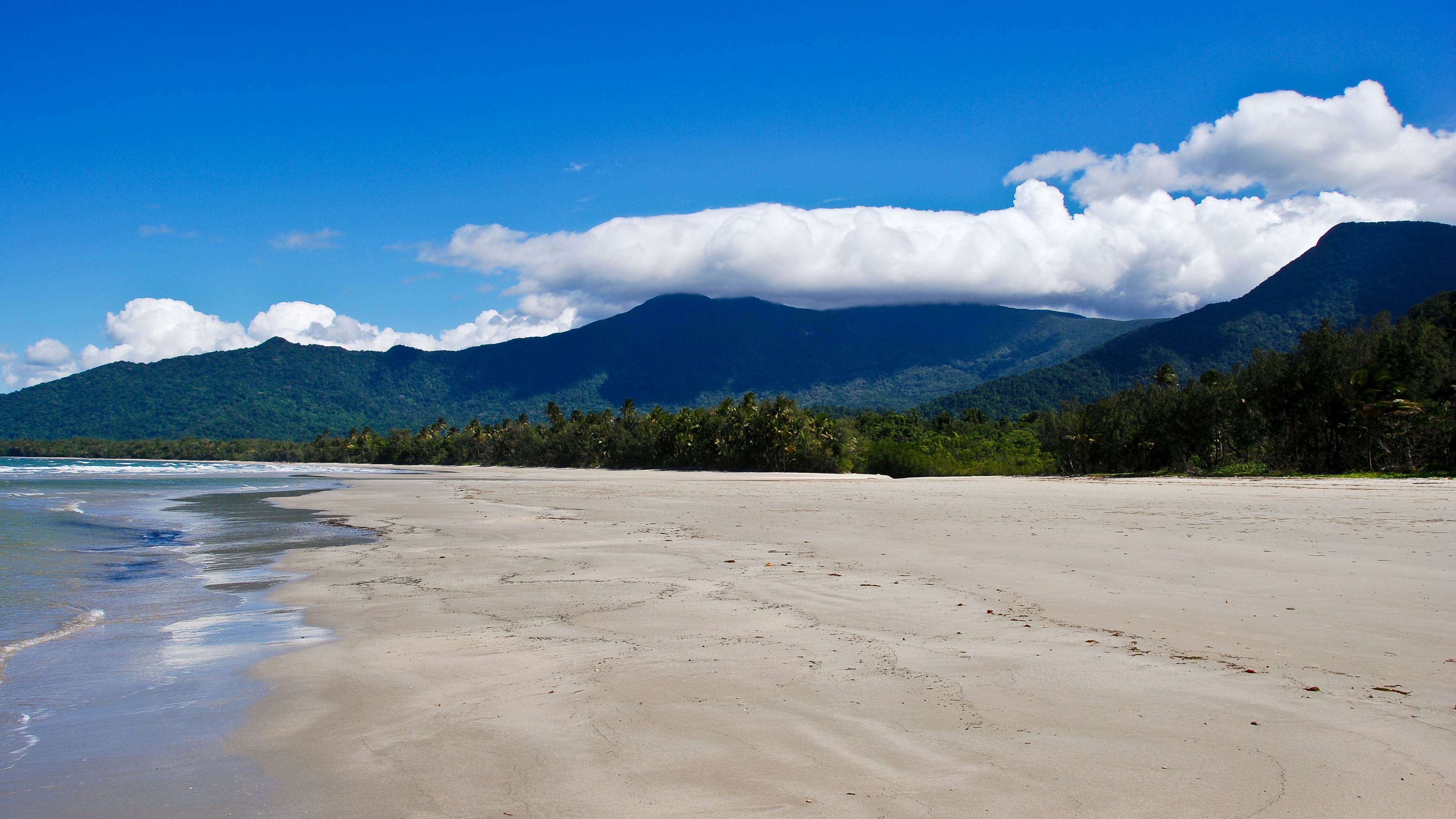 Cape Tribulation Beach