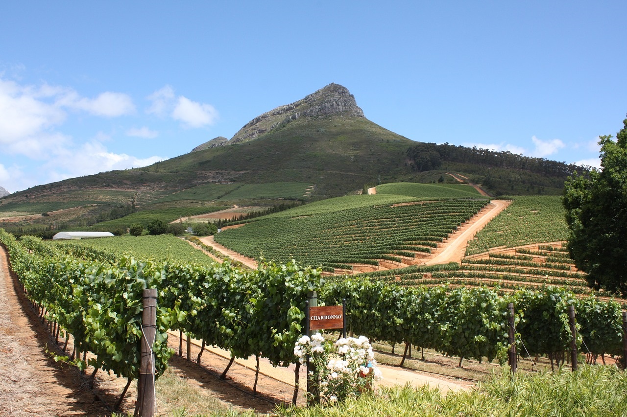 Cape Winelands