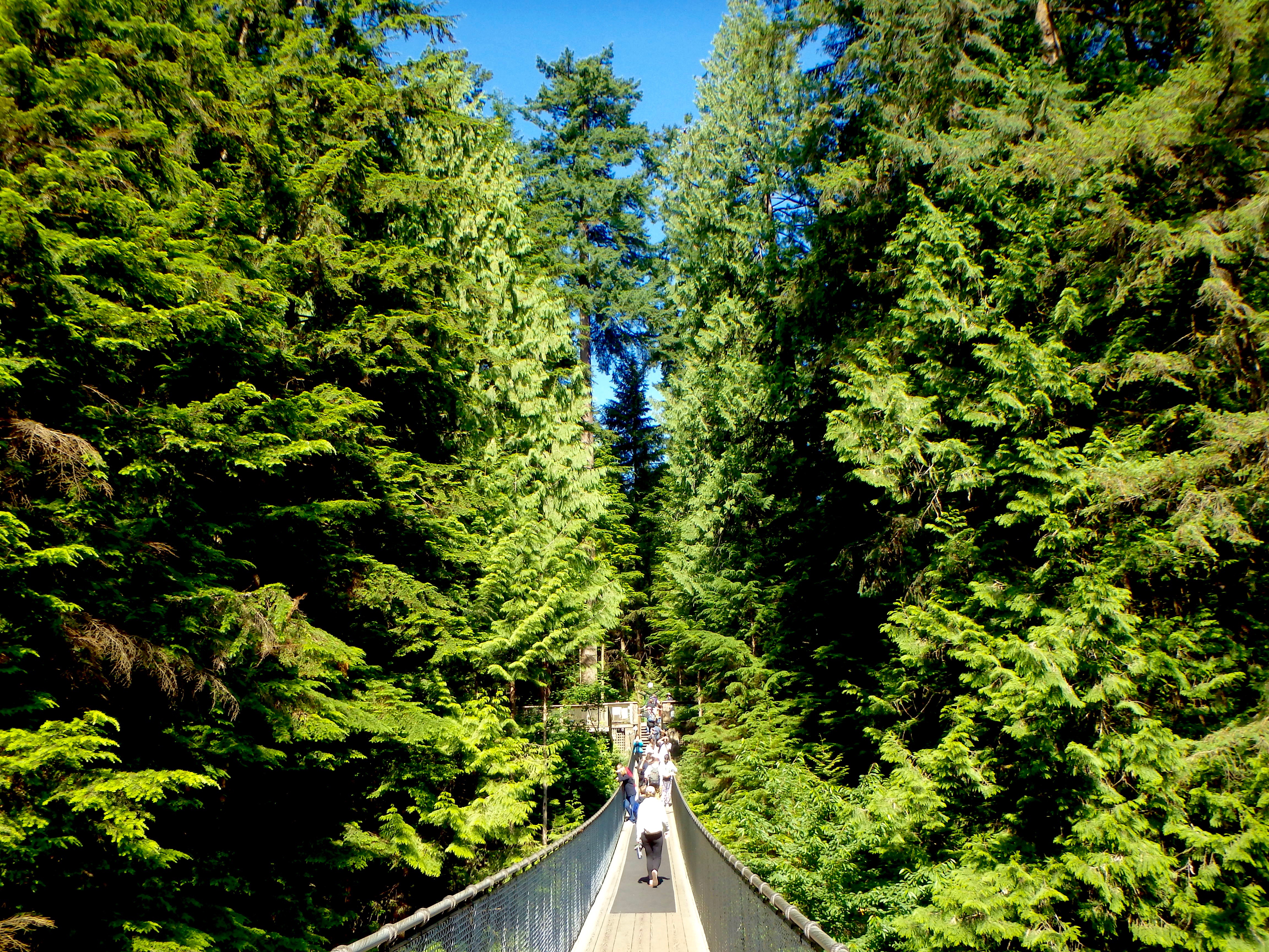 Capilano Suspension Bridge Park