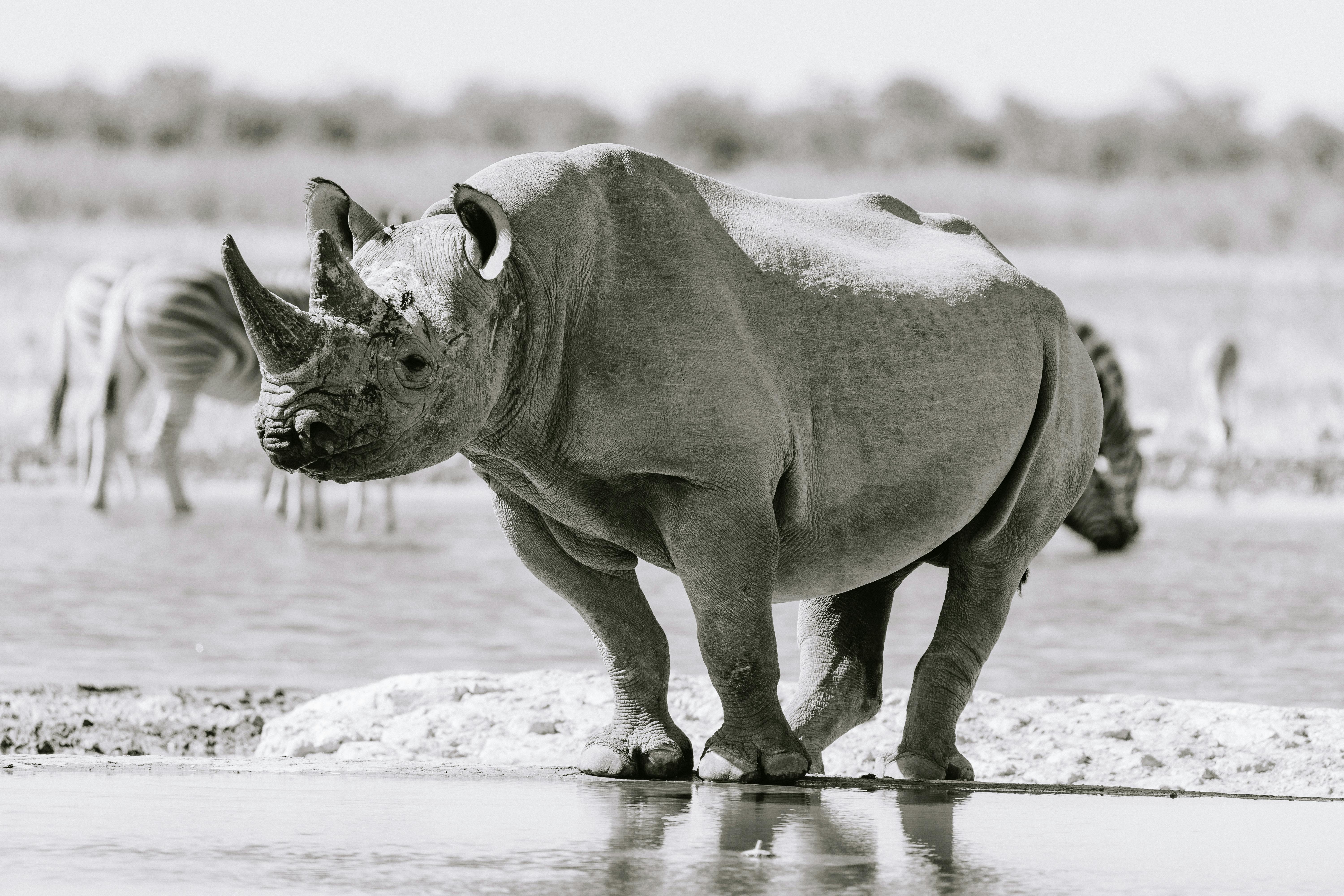 Caprivi Game Park