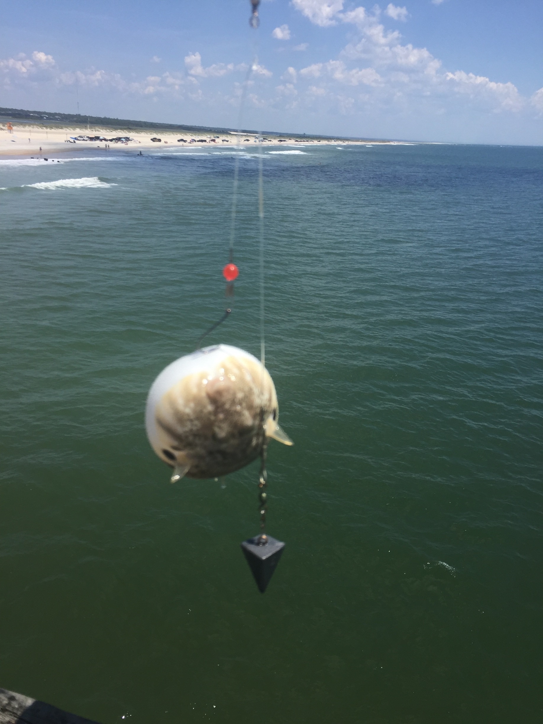 Carolina Beach Fishing Pier