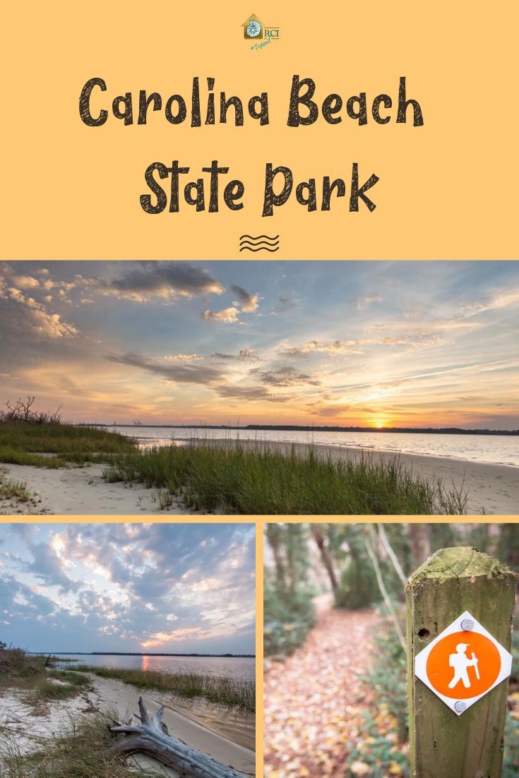 Carolina Beach State Park