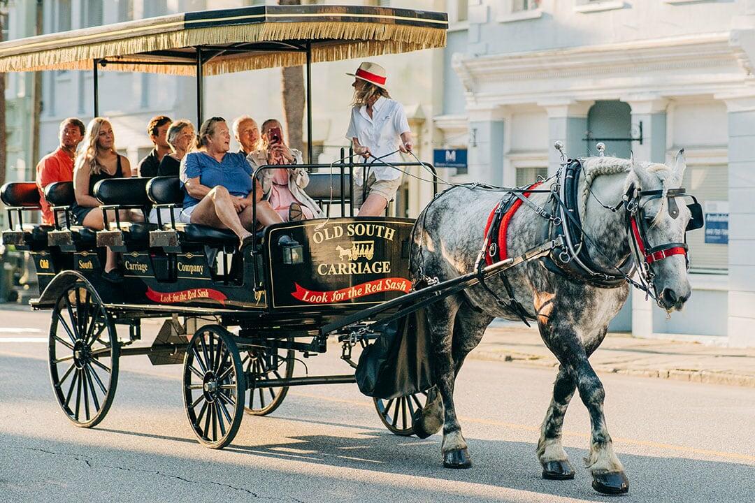 Carriage Tour of Charleston