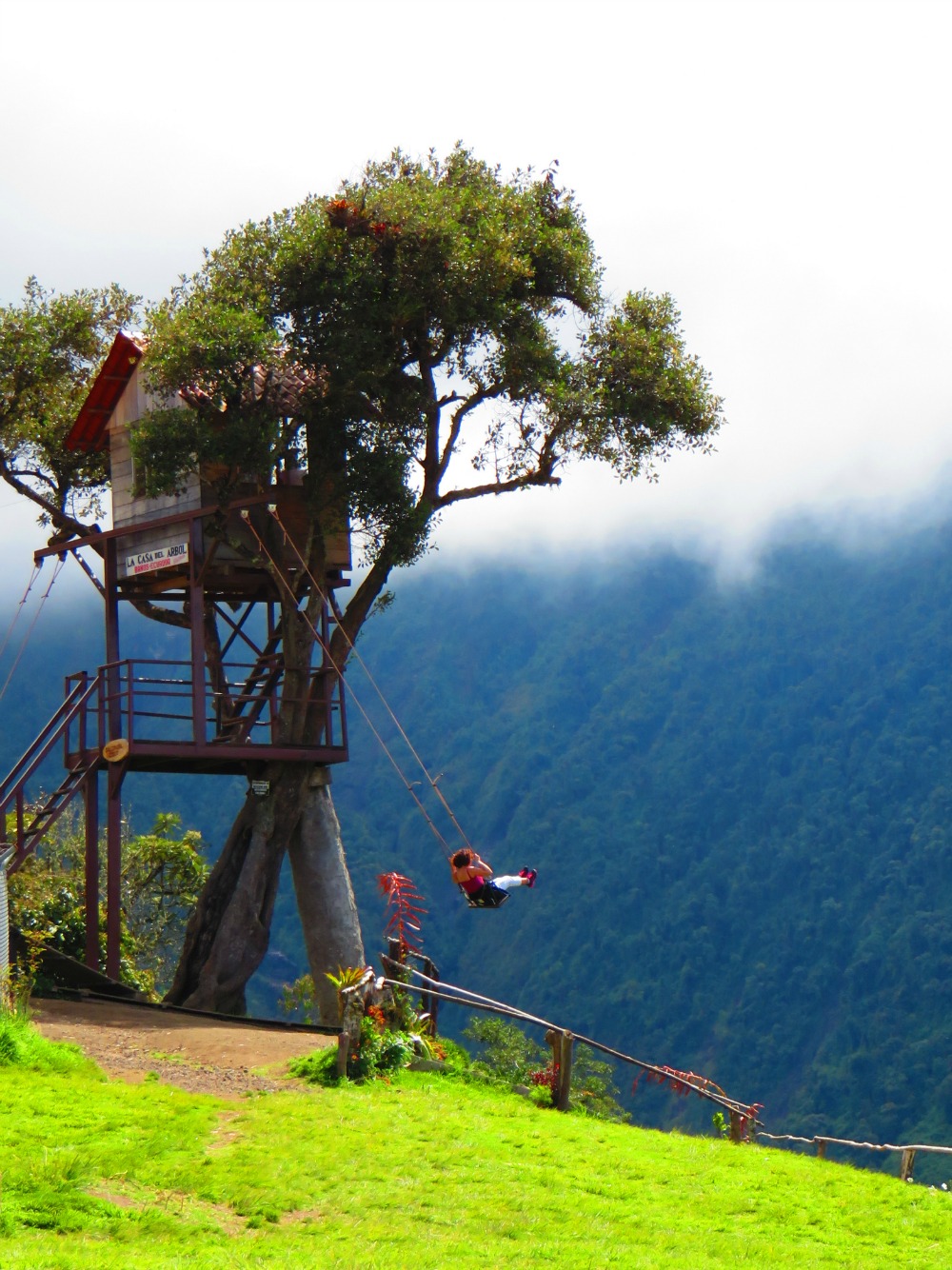 Casa del Arbol