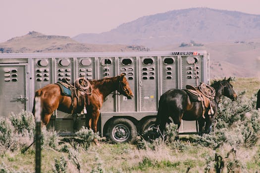 Catty Shack Ranch Wildlife Sanctuary