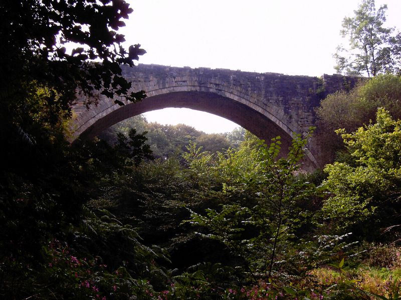 Causey Arch