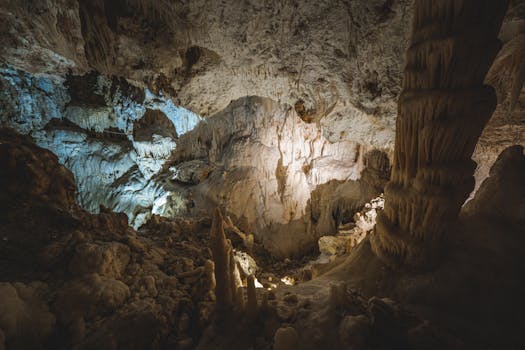 Caves de Nuits-Saint-Georges