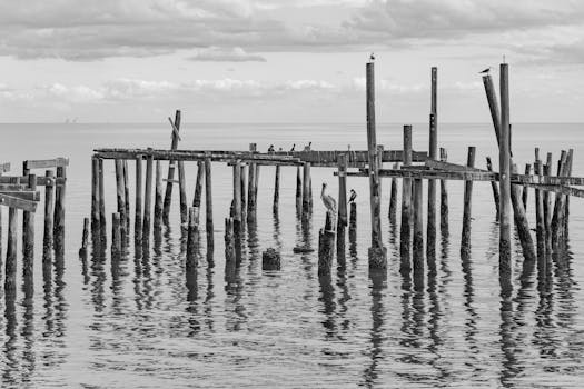 Cedar Key Museum State Park