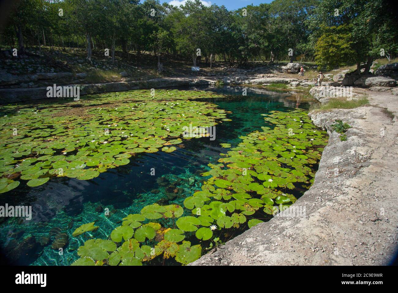 Cenote Xlacah