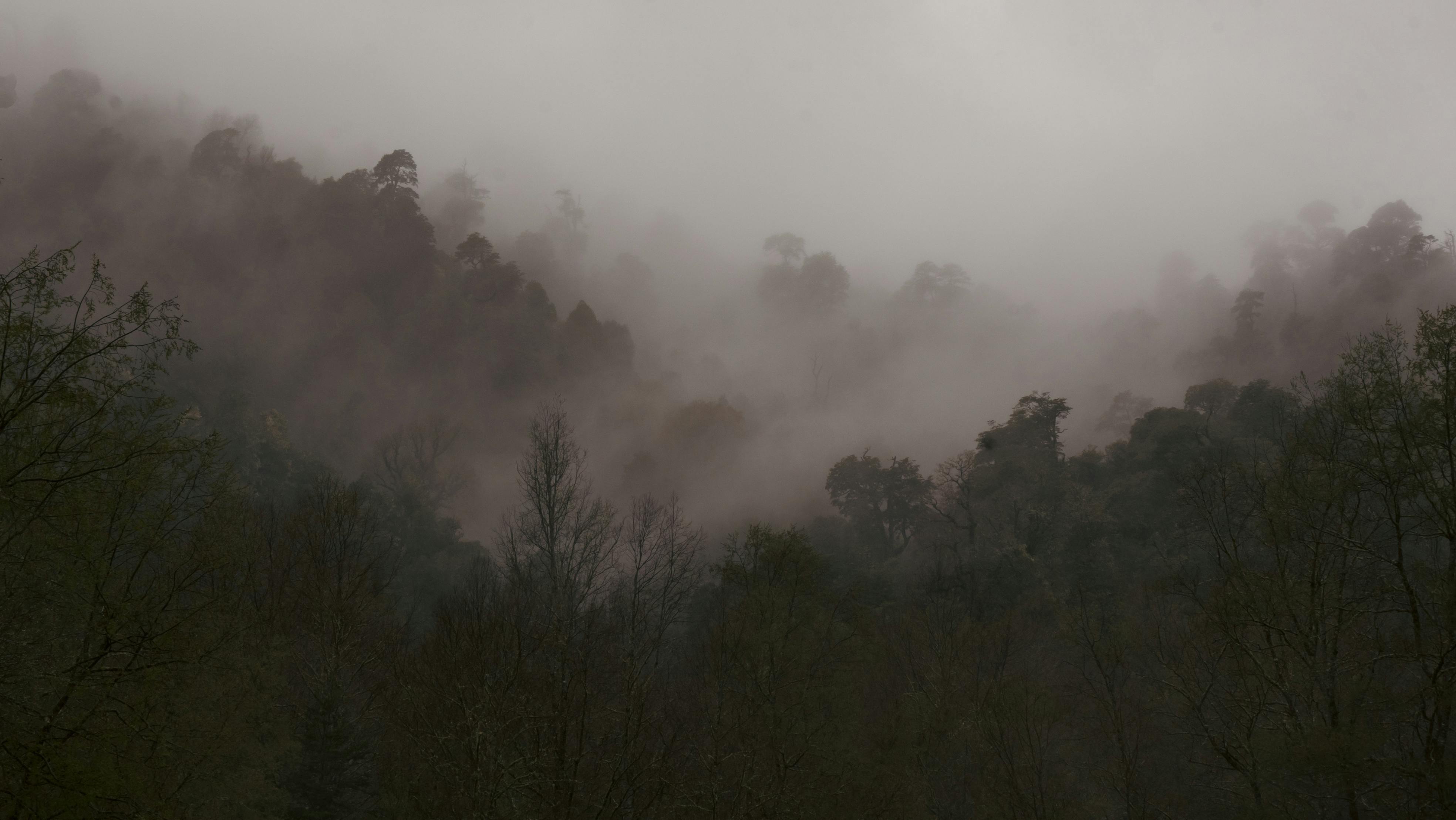 Cerro Ñielol