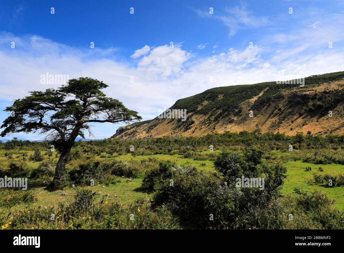 Cerro Dorotea