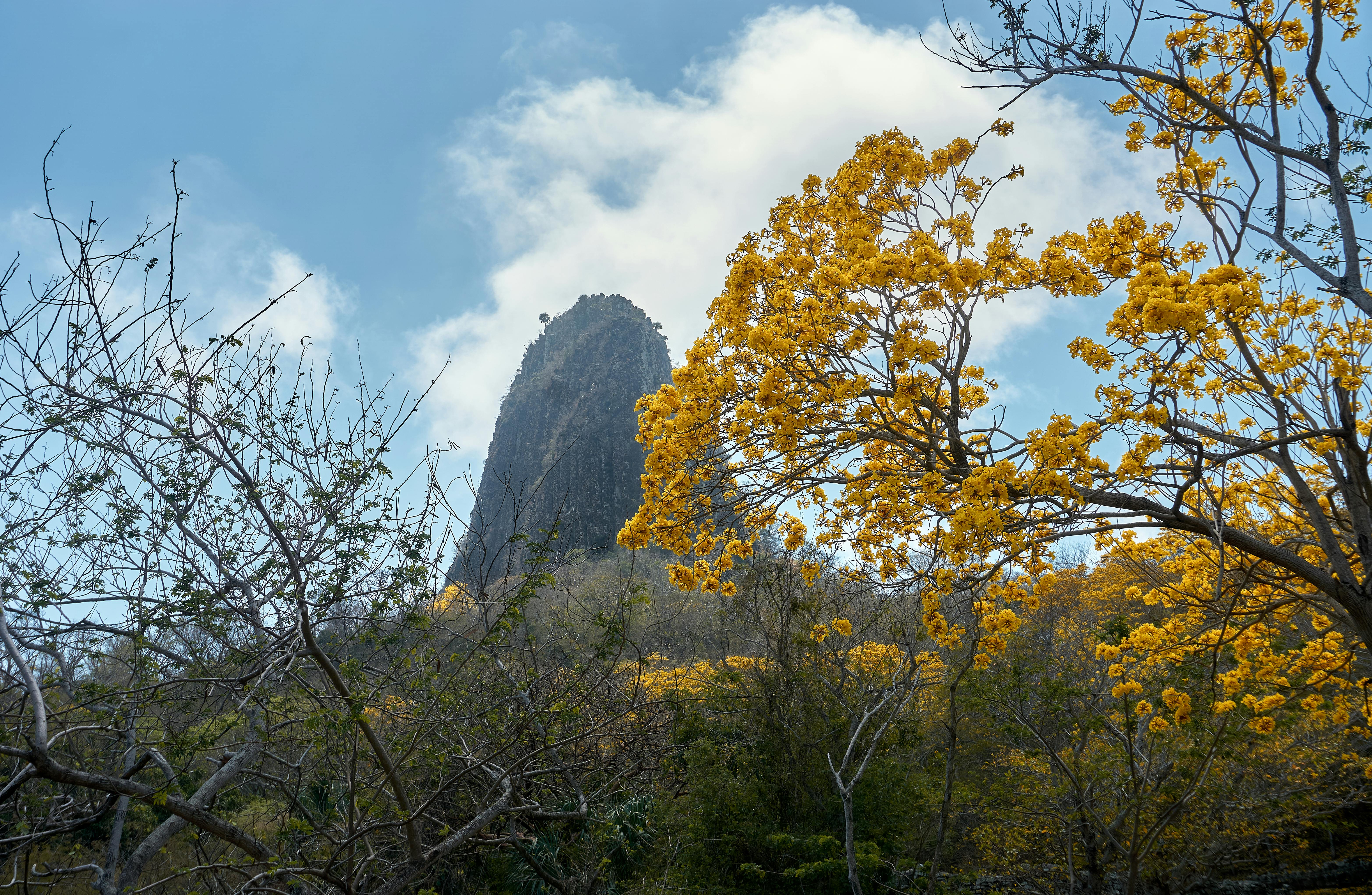 Cerro de las Campanas