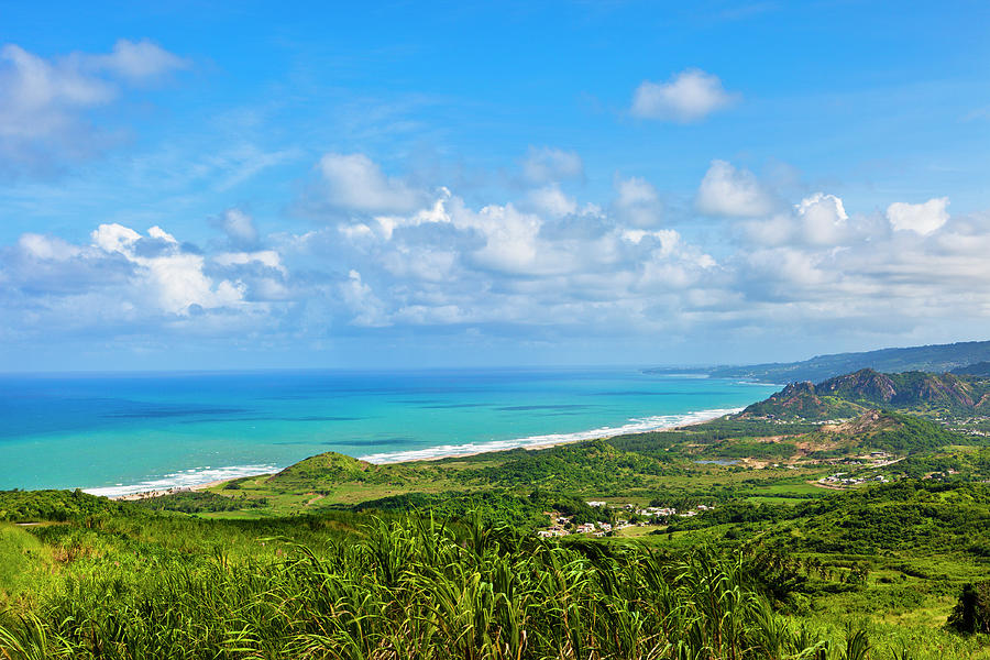 Cherry Tree Hill