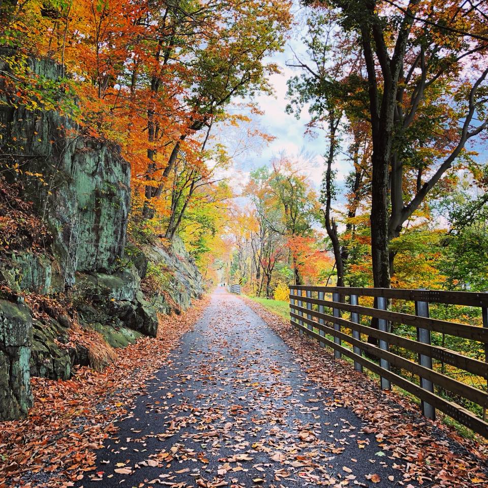 Chester Creek Trail