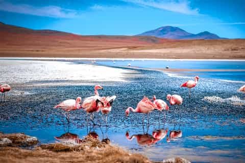 Chiguana Salt Flat