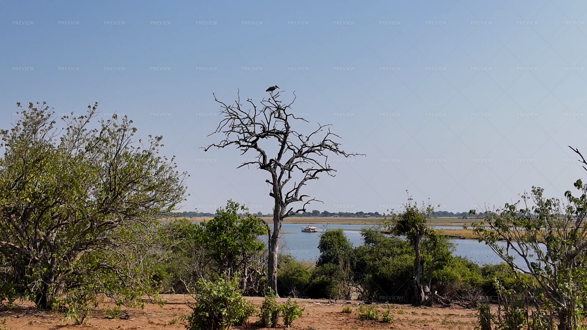 Chobe National Park (nearby)