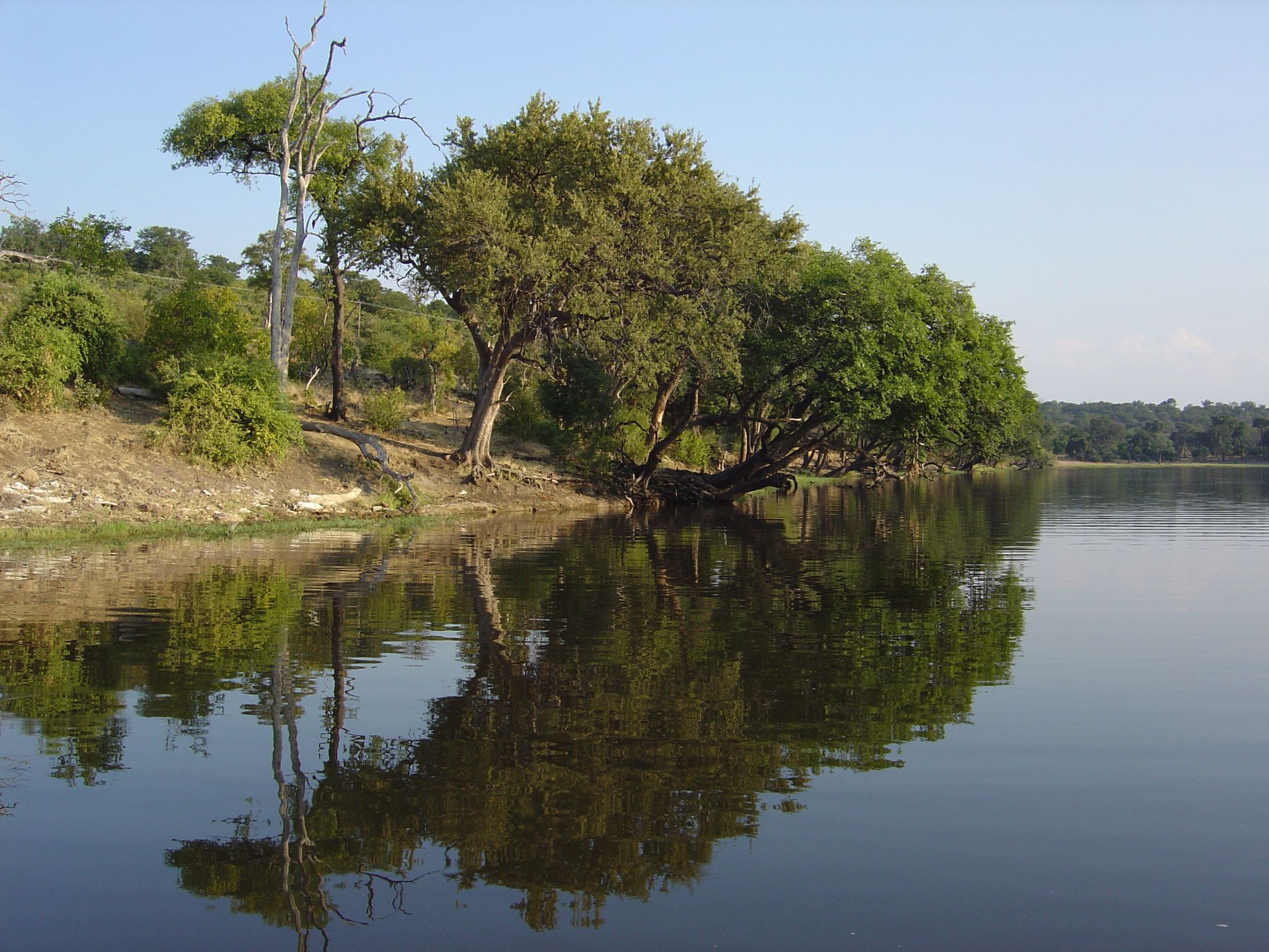 Chobe River Front