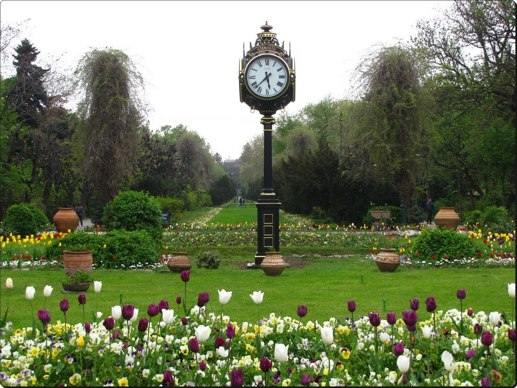 Cismigiu Gardens