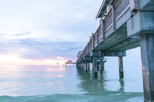 Clearwater Marine Aquarium