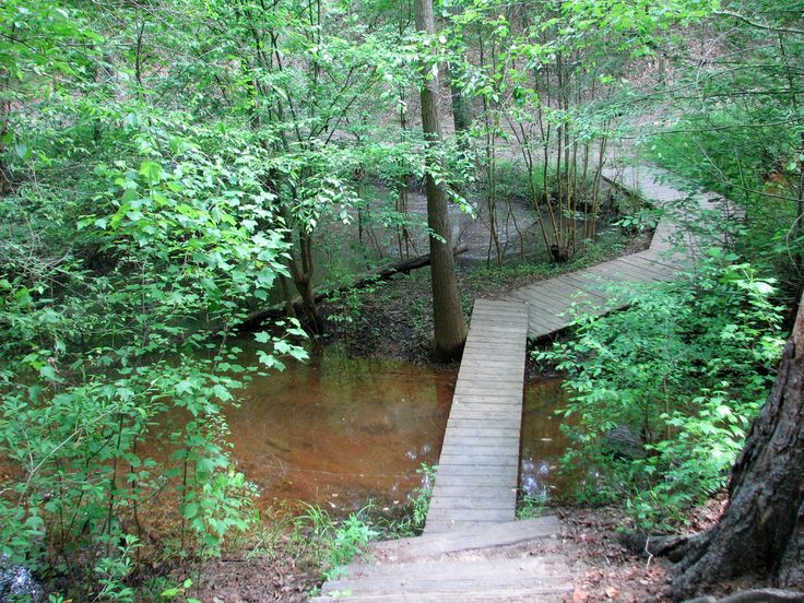 Cliffs of the Neuse State Park