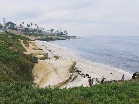 Coast Walk Trail