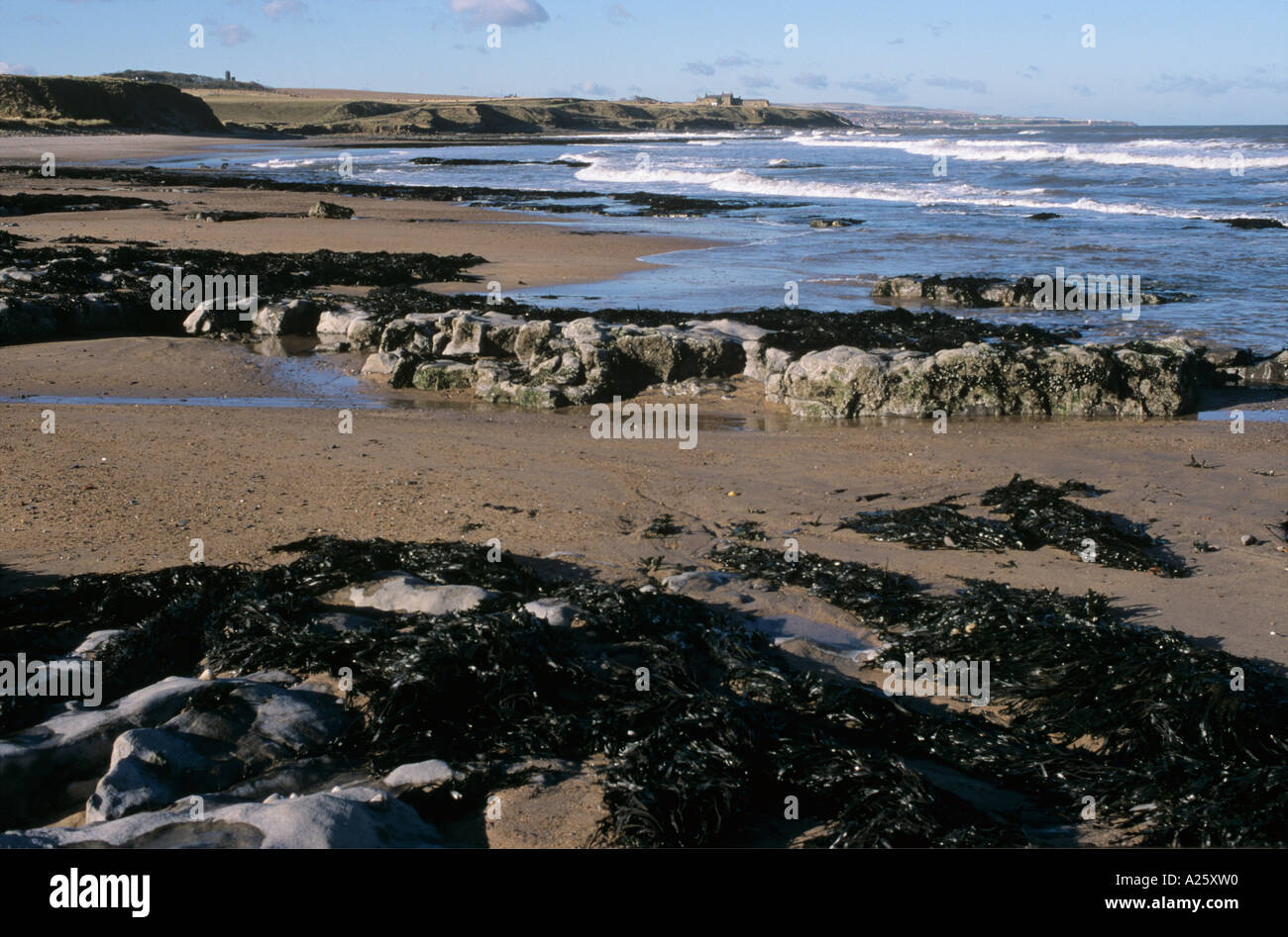 Cocklawburn Beach