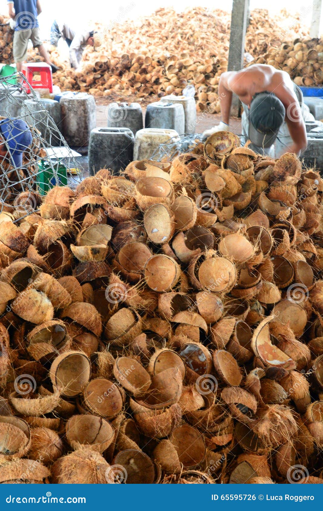 Coconut Candy Factory