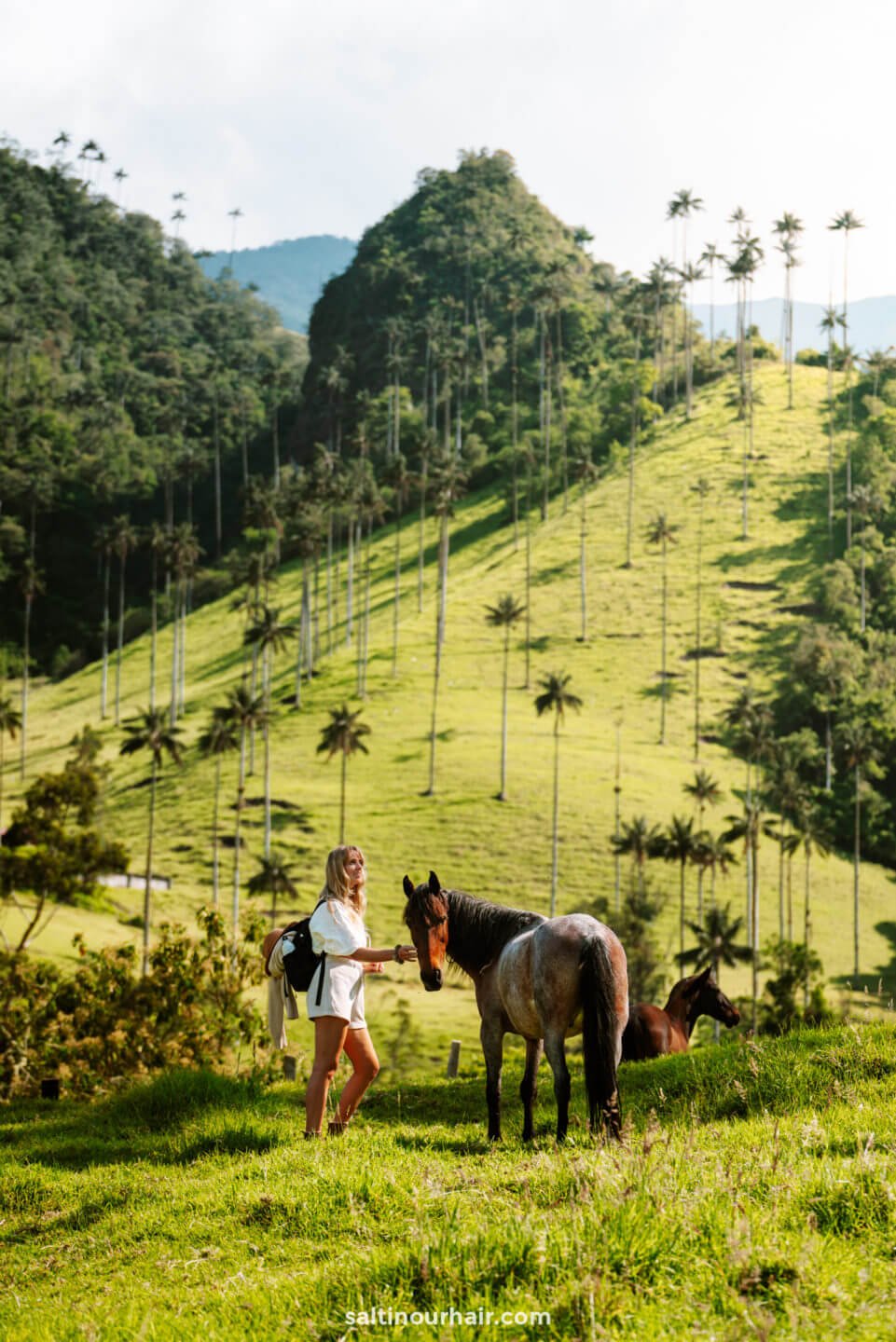 Cocora Valley Hike