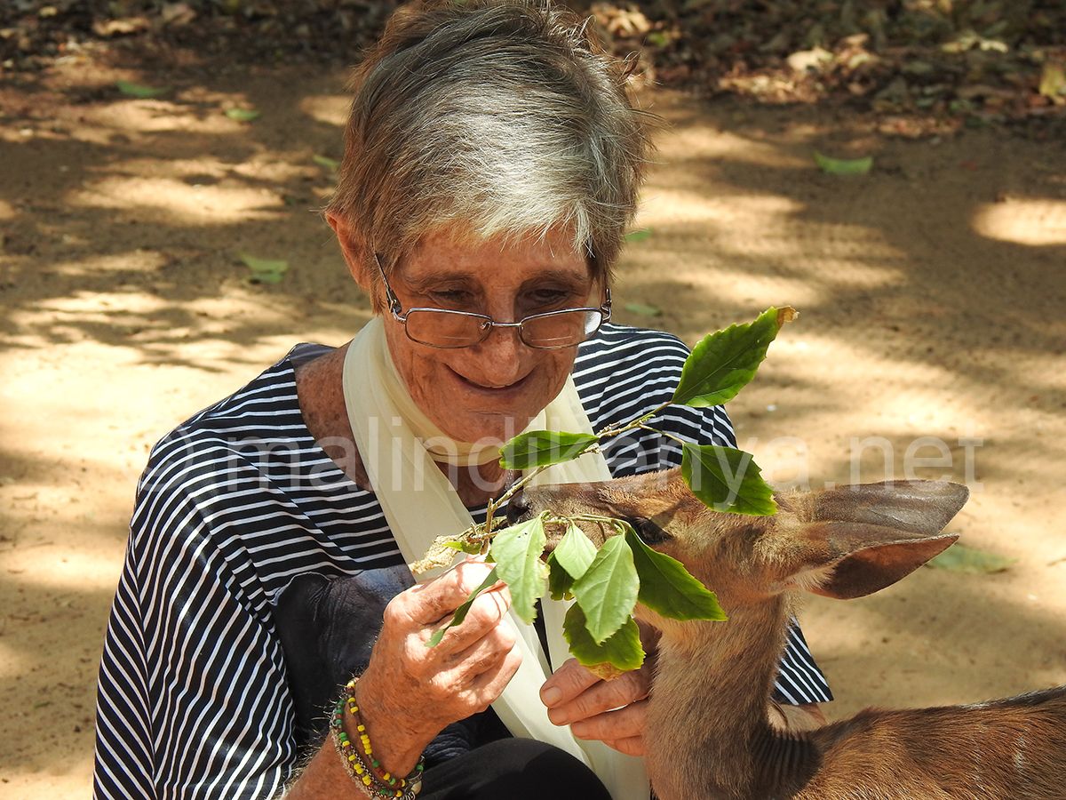 Colobus Conservation