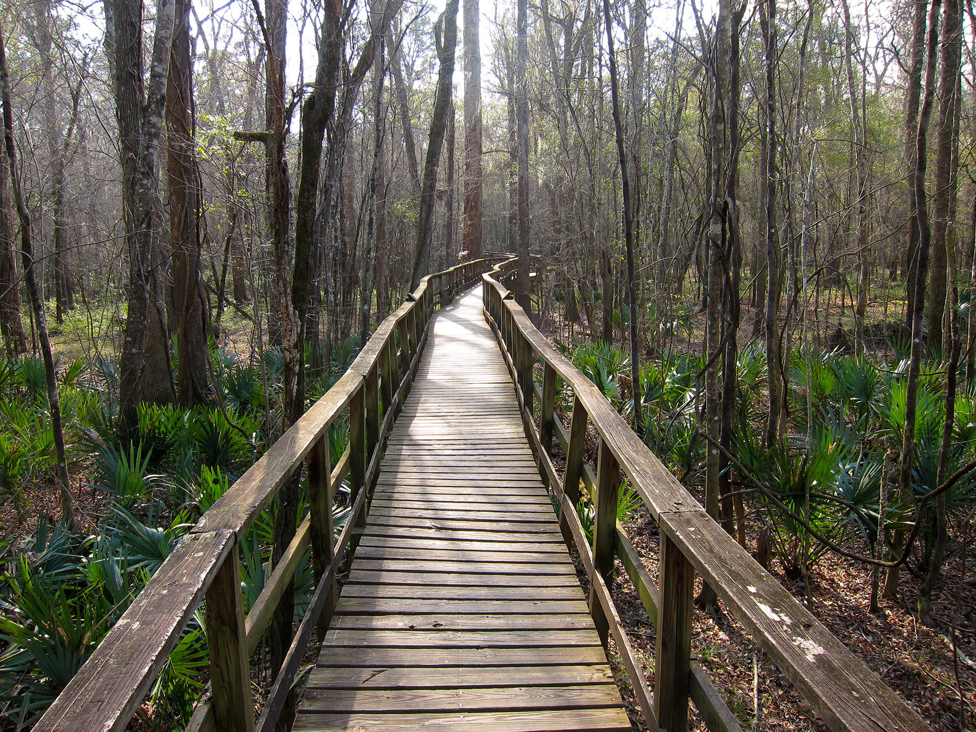 Congaree National Park