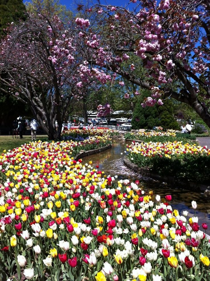 Corbett Gardens