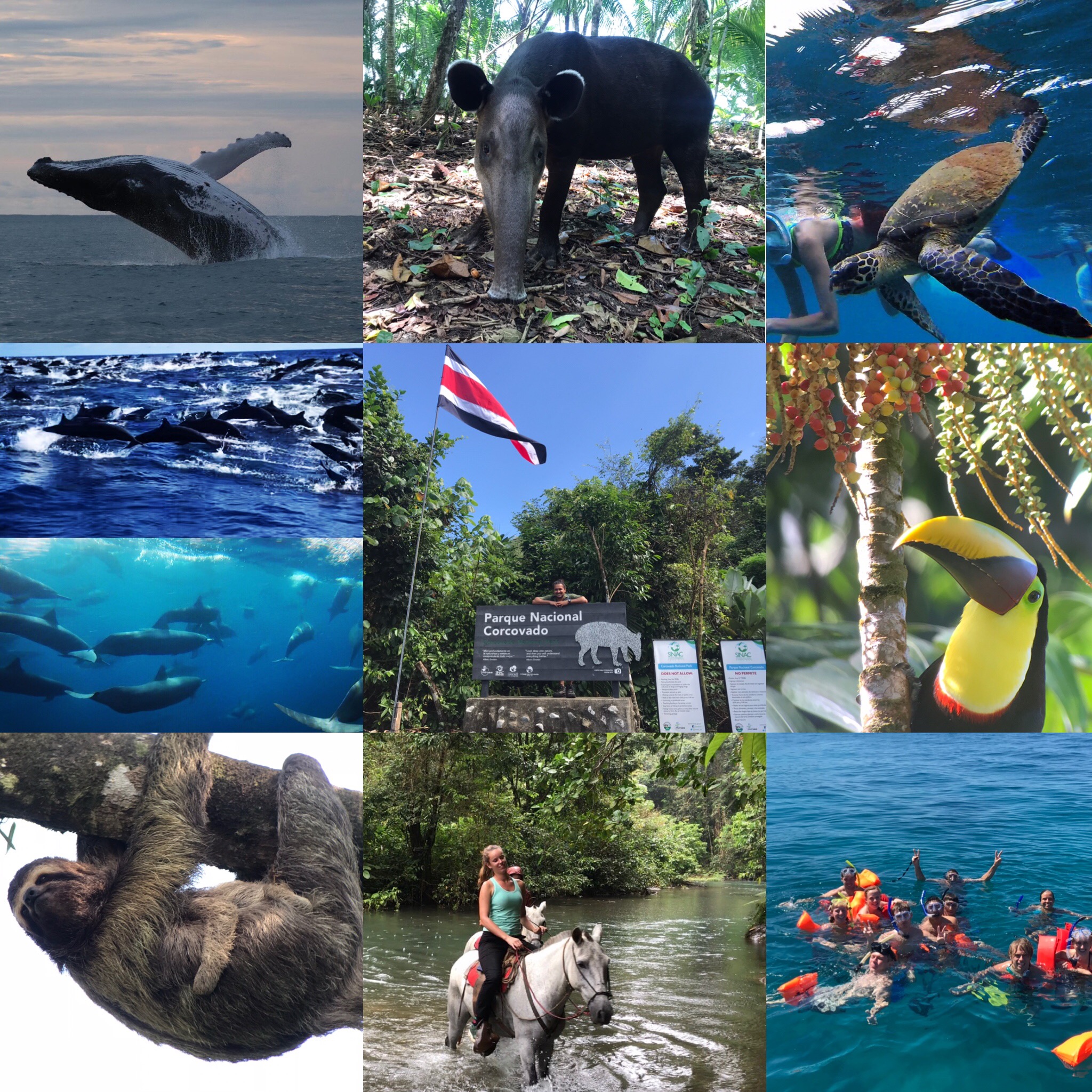 Corcovado National Park