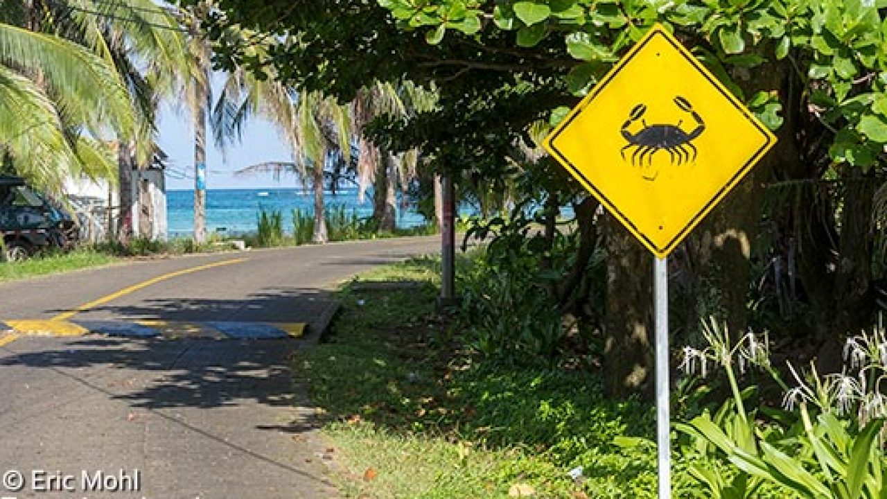 Corn Island Museum