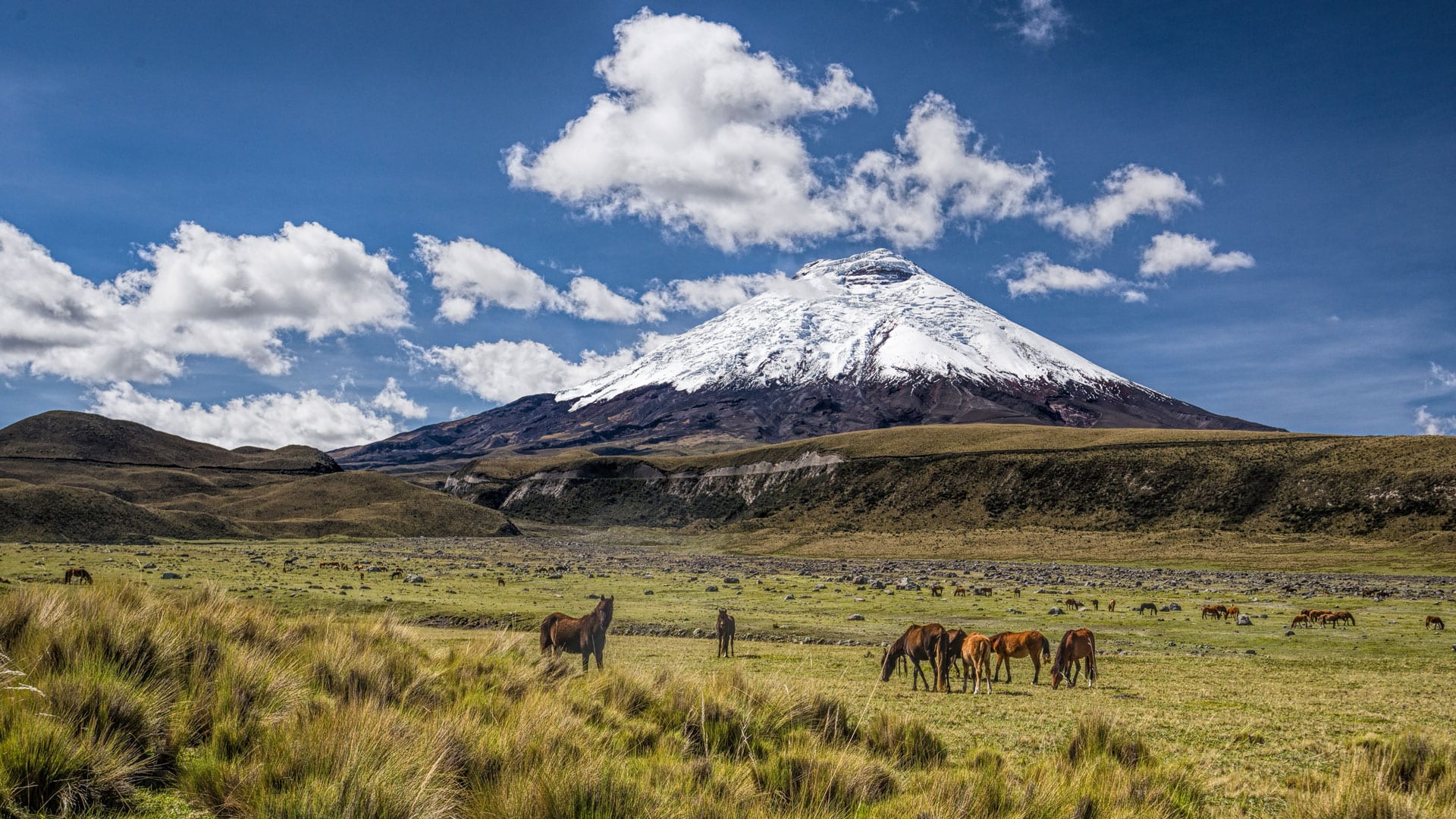 Cotopaxi National Park