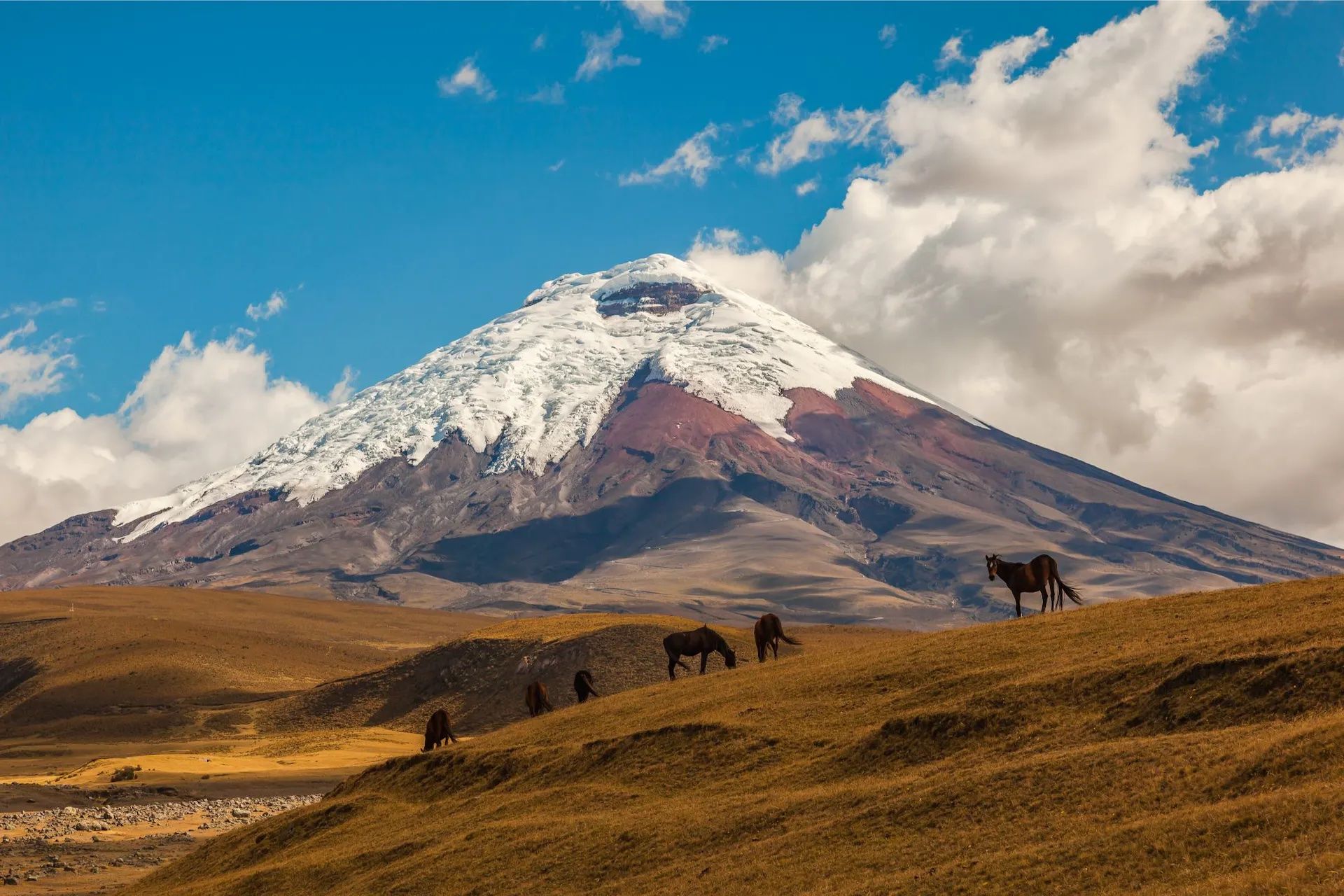 Cotopaxi Volcano