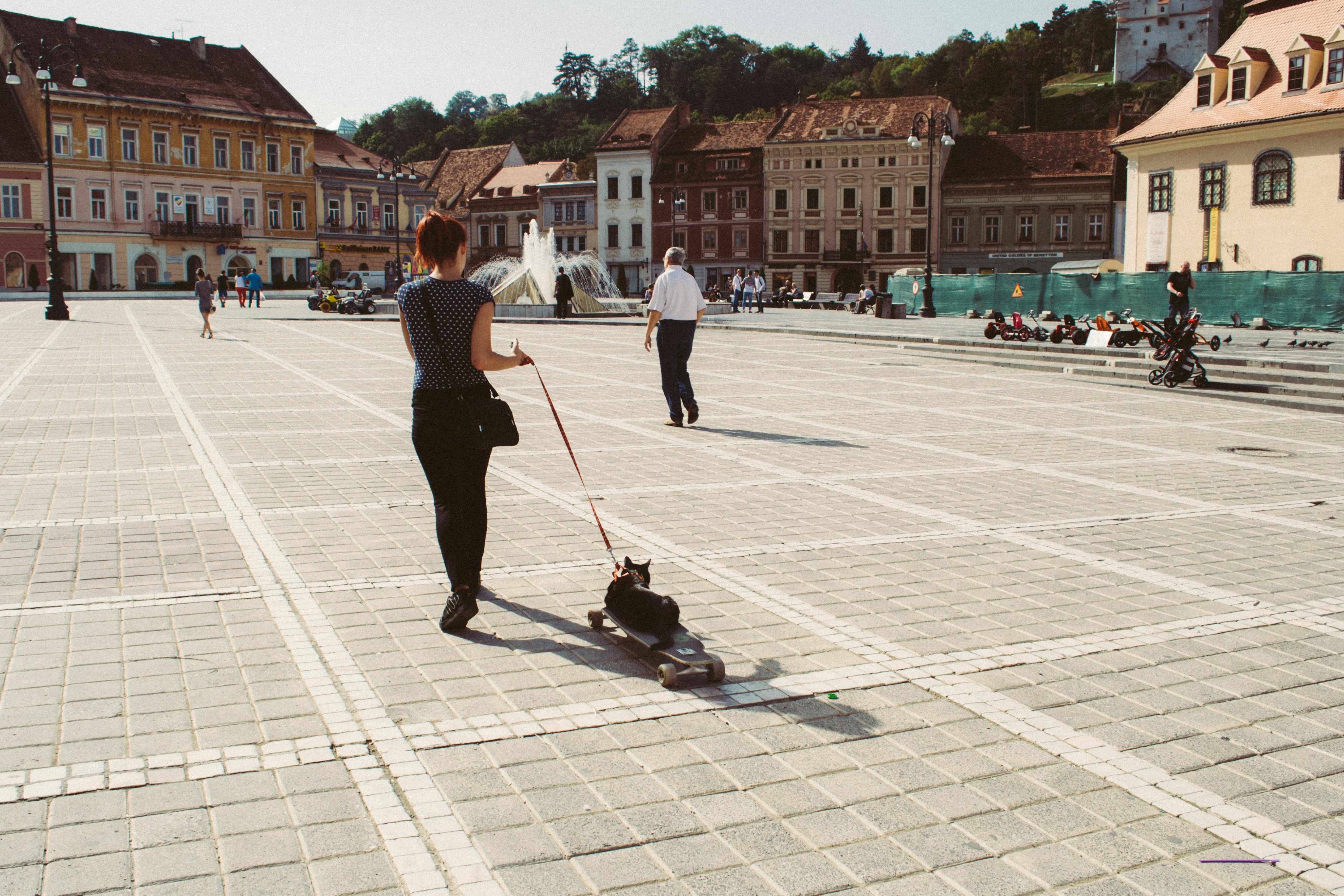 Council Square