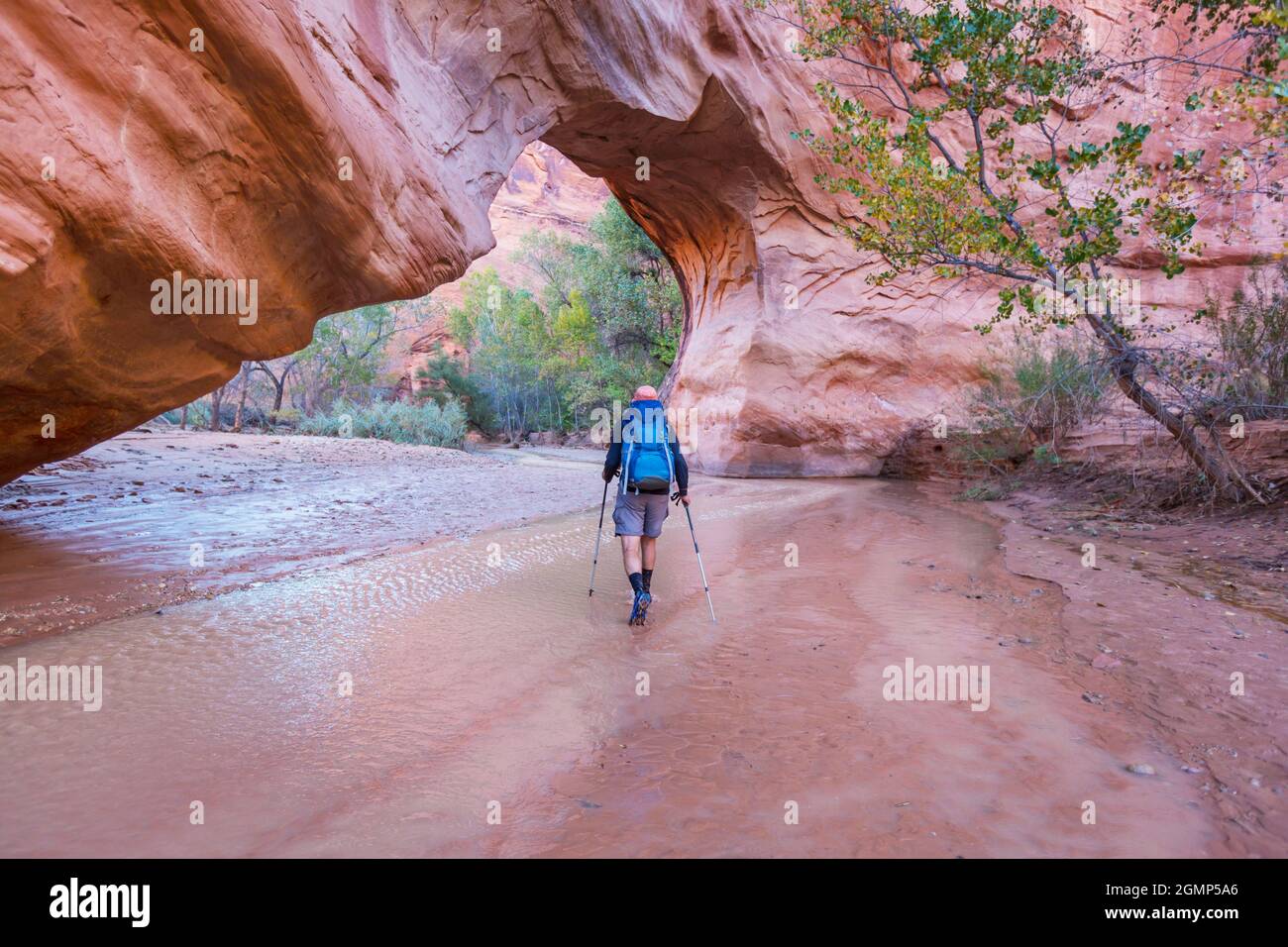 Coyote Gulch