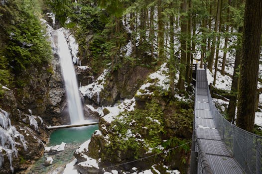 Crazy Creek Suspension Bridge