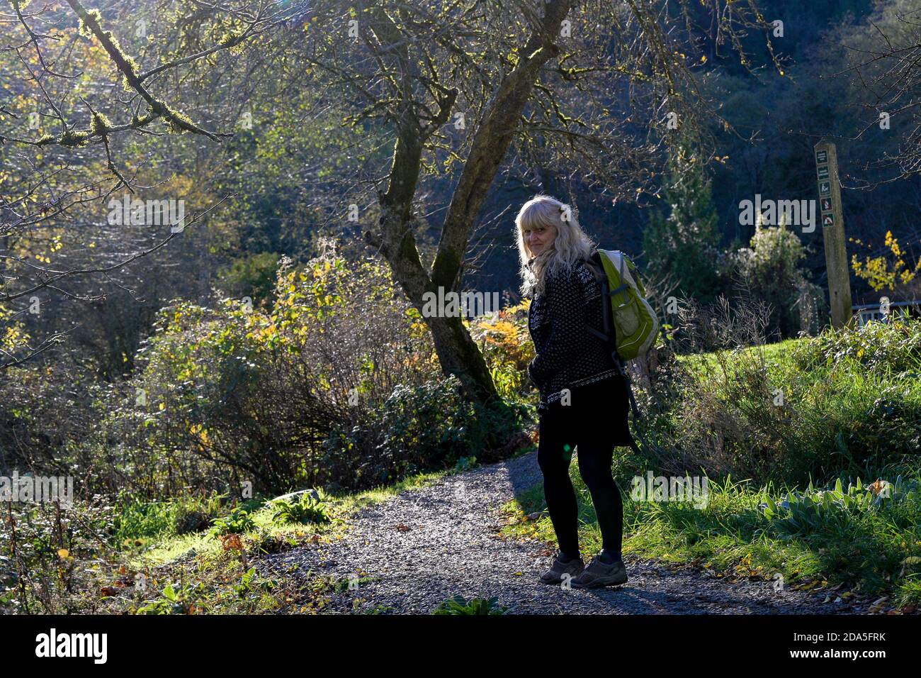 Crippen Regional Park