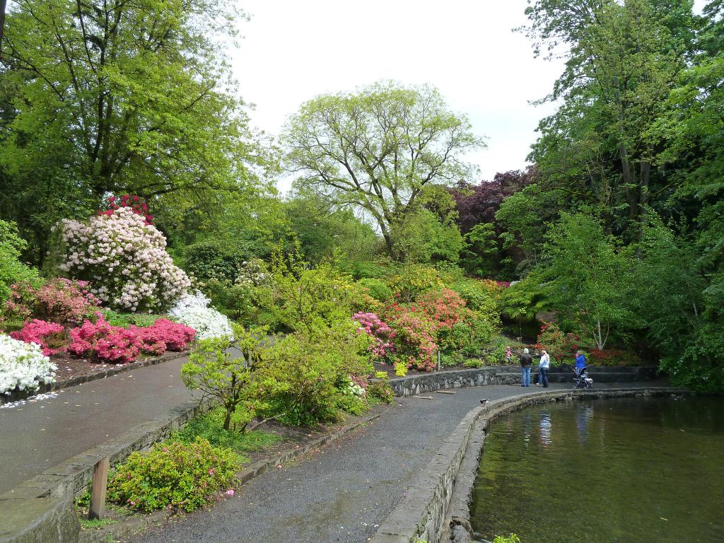 Crystal Springs Rhododendron Garden