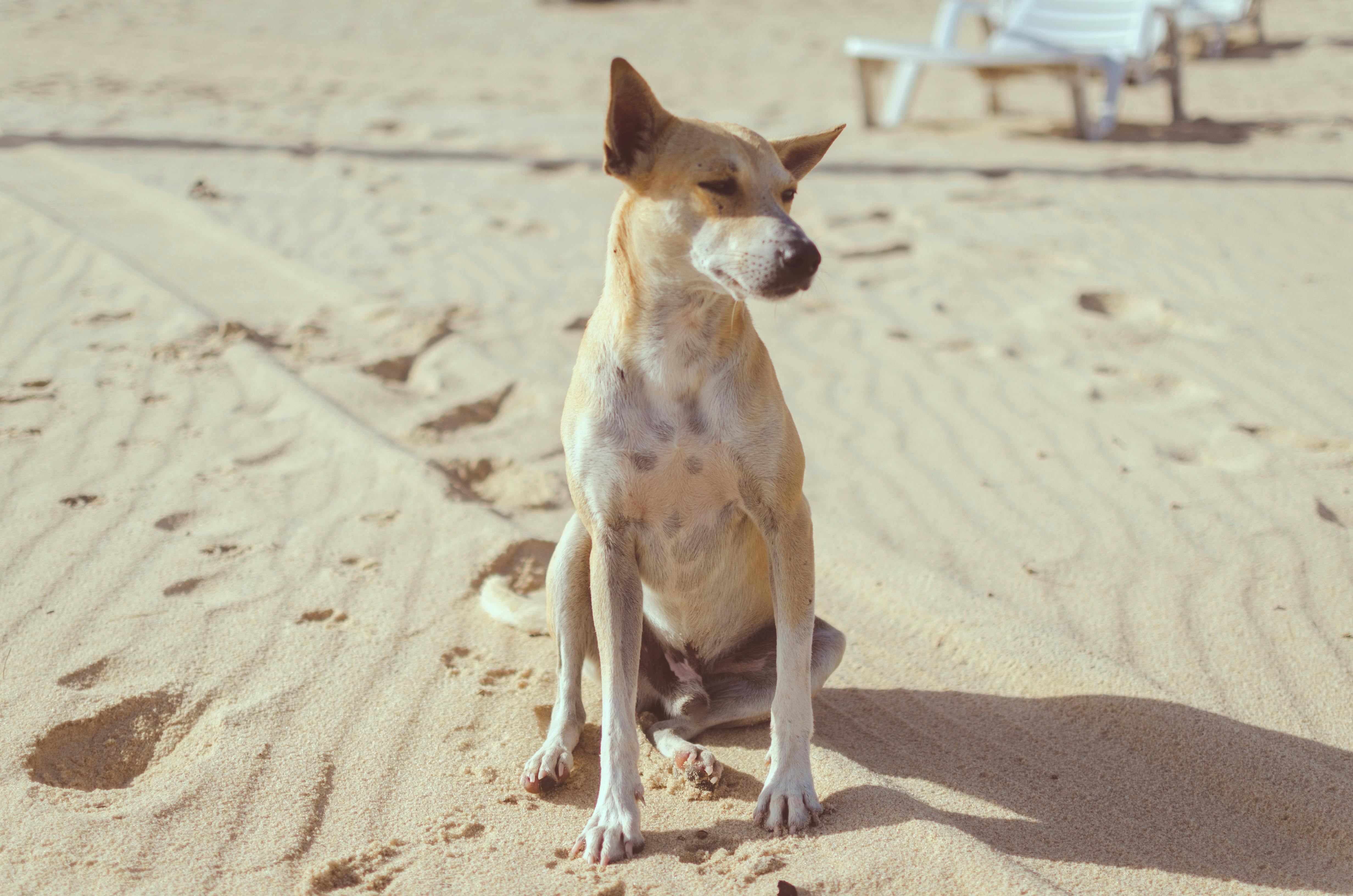 Cumbuco Beach