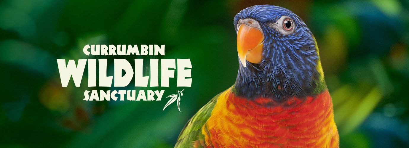 Currumbin Wildlife Sanctuary