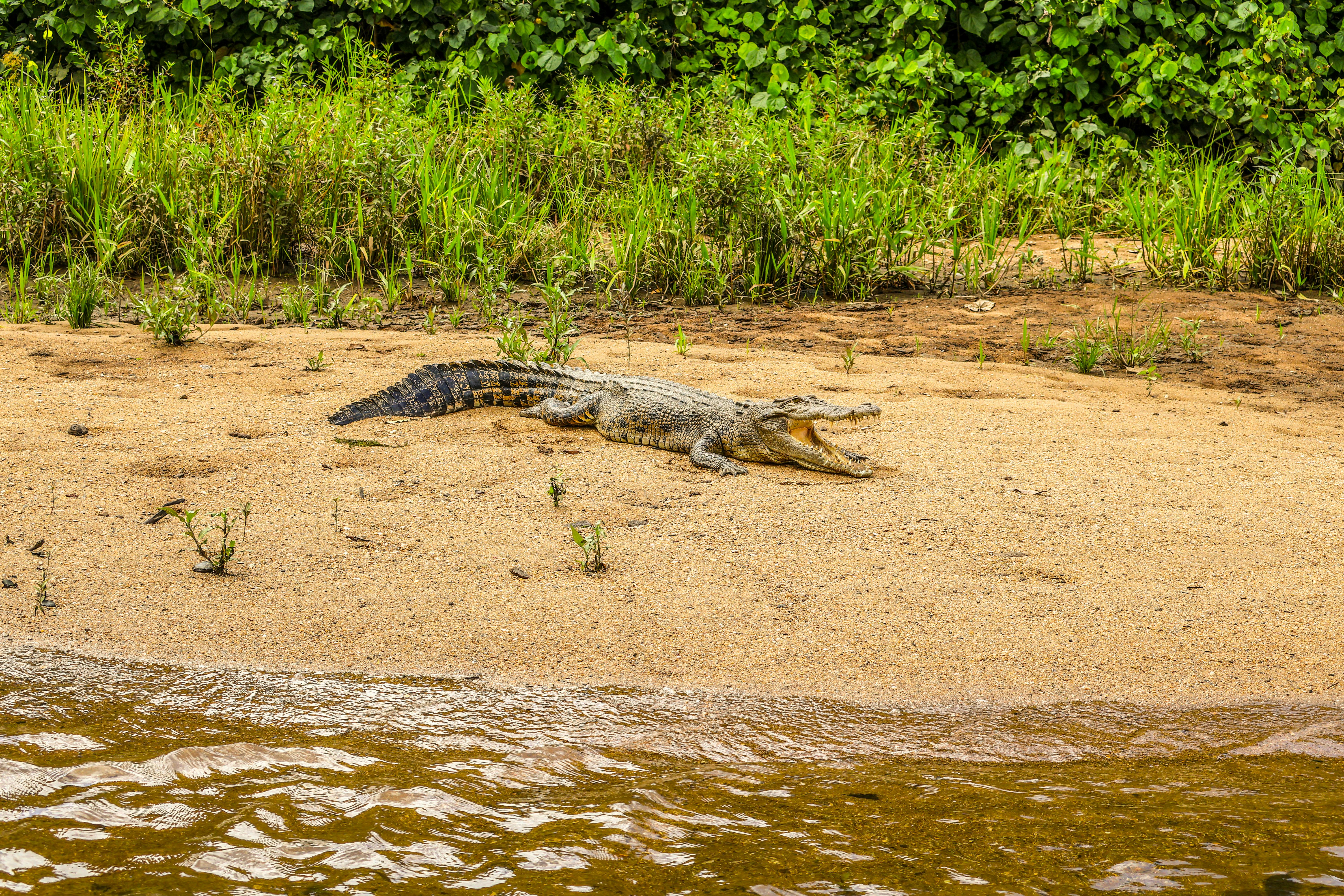 Daintree Discovery Centre