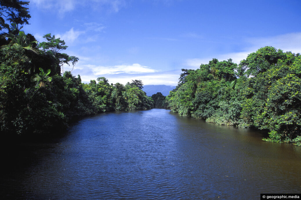 Daintree River