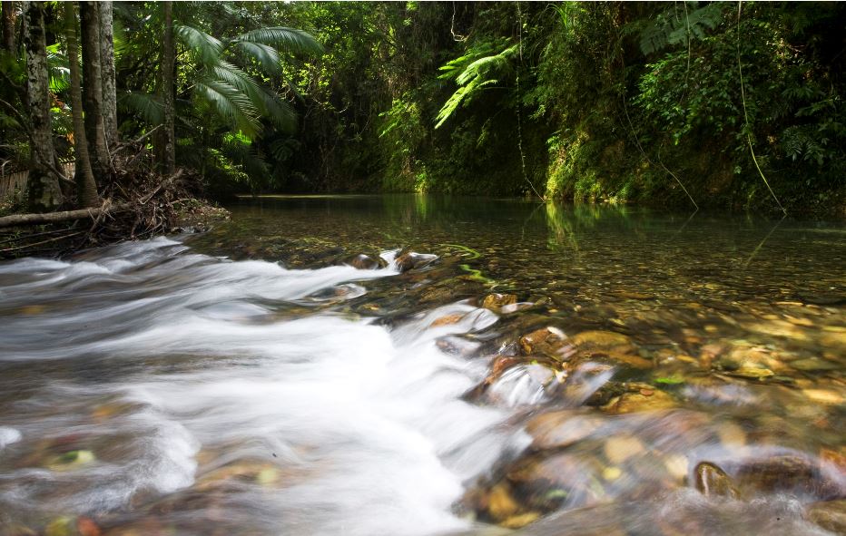 Daintree Village