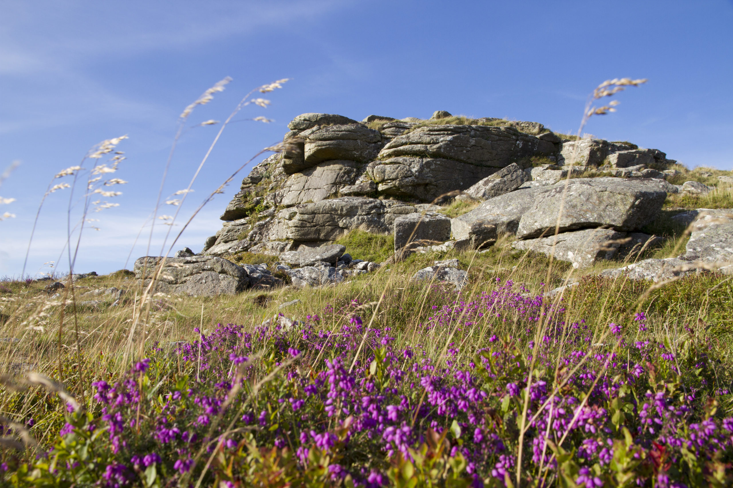 Dartmoor Bush Nursing Centre Memorial Park