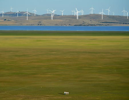 Dartmoor Wind Farm