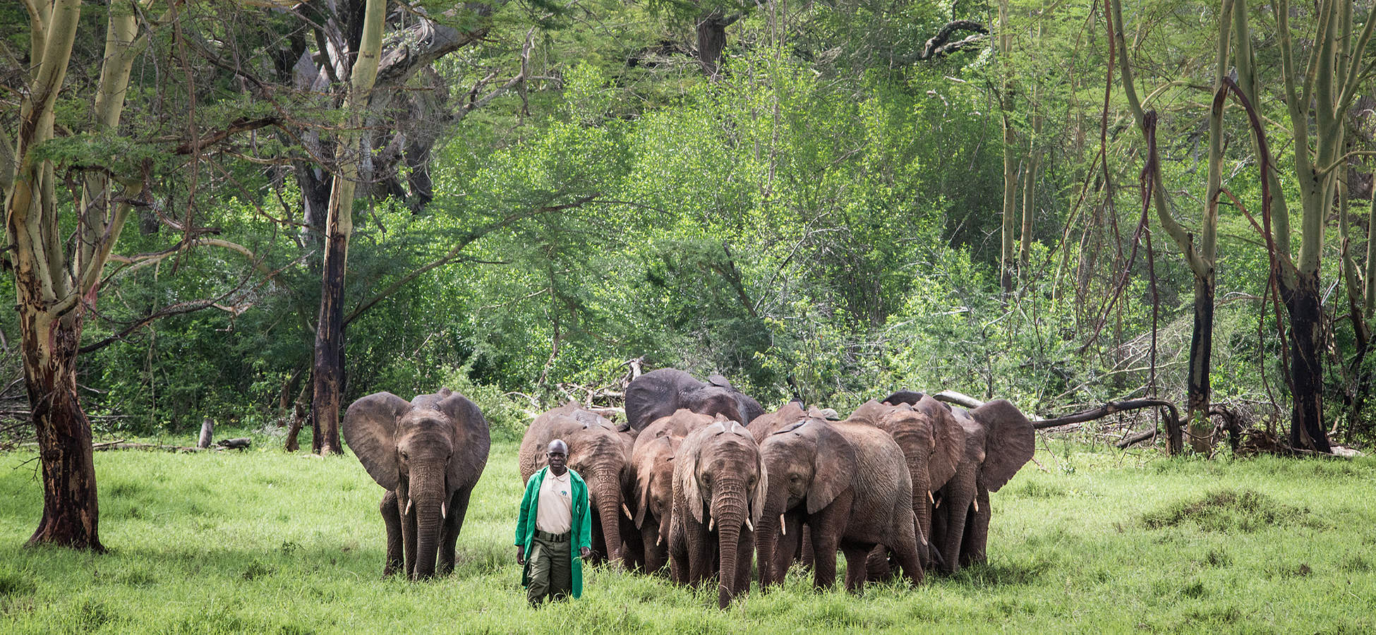 David Sheldrick Wildlife Trust