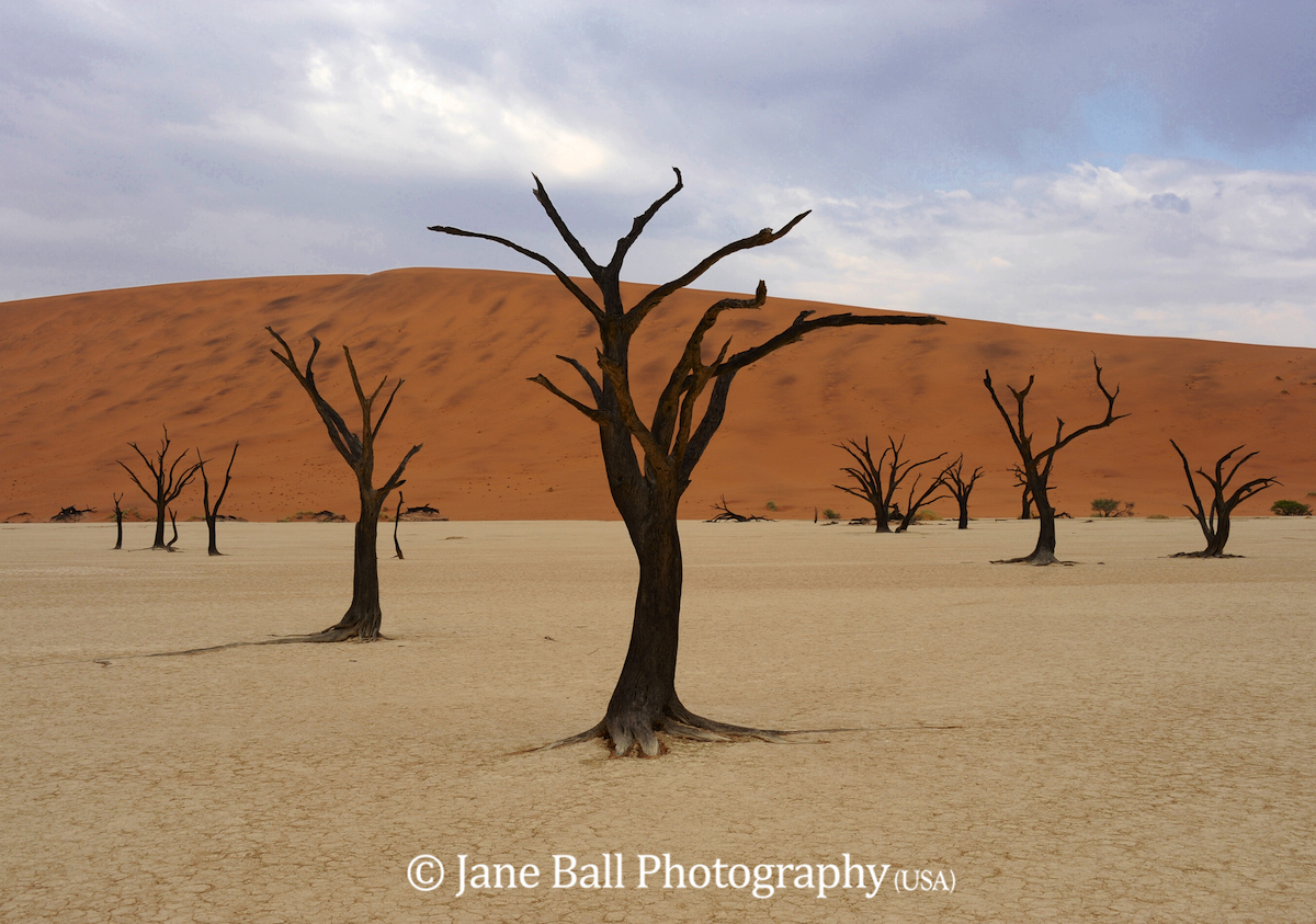 Deadvlei