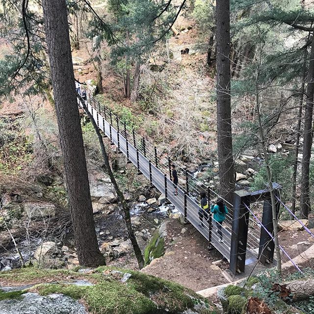 Deer Creek Tribute Trail